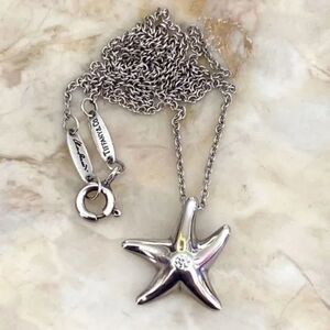 Tiffany & Co. Elsa Peretti Starfish Diamond Sterling Silver Necklace Rare
